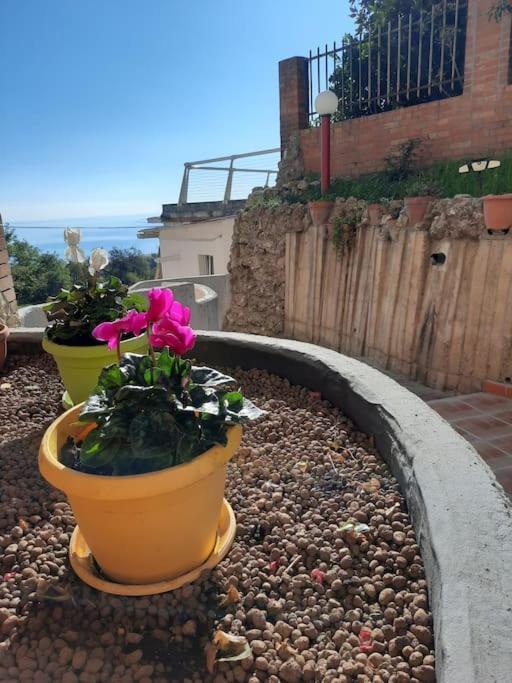 Torre Del Meridiano Casa Vacanze Centrale Termoli Extérieur photo